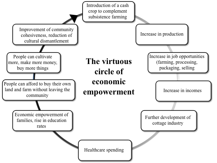 the virtuous circle of economic empowerment